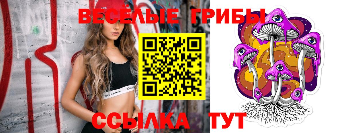 Галлюциногенные грибы Magic Shrooms  Вход с VPN  Галлюциногенные грибы ЛСД  Северобайкальск 